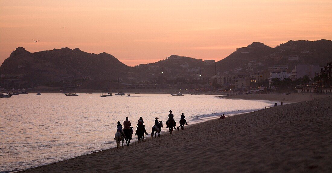 Menschen auf Pferden am Strand in der Abenddämmerung; Los Cabos, Mexiko