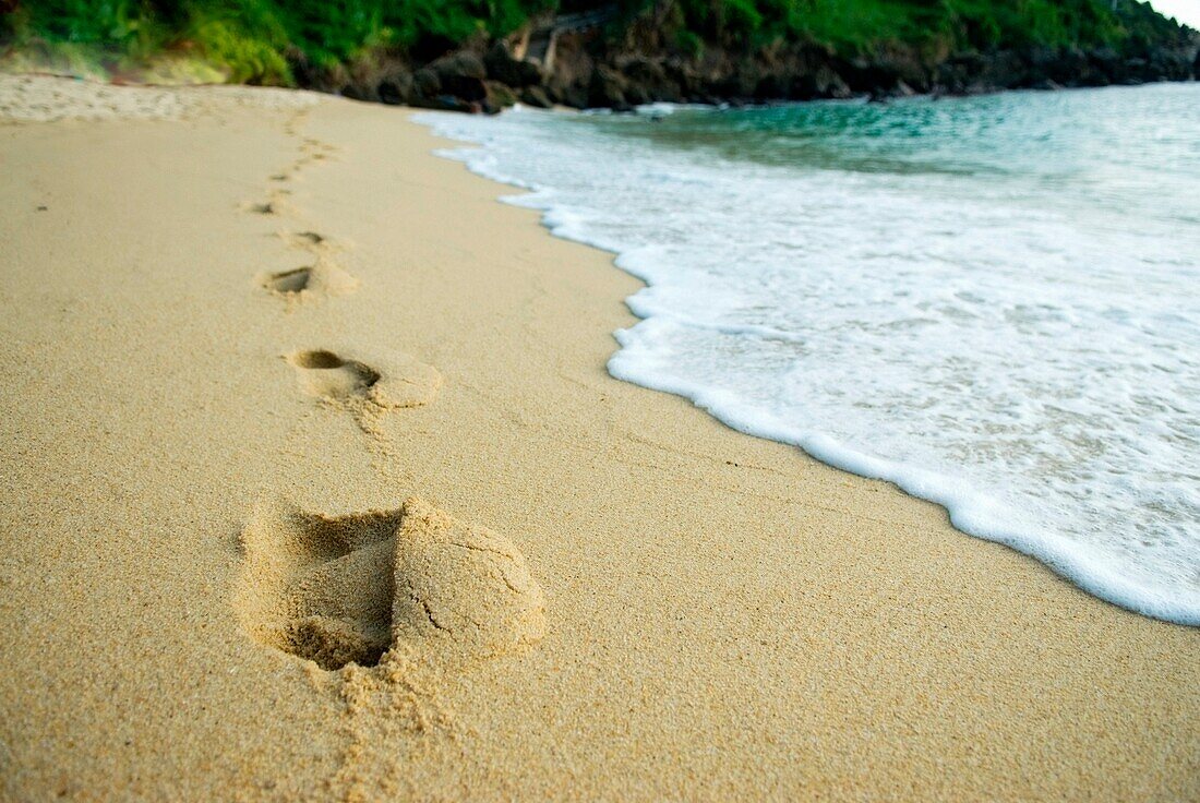 Footprints In Sand On Beach; Mexico