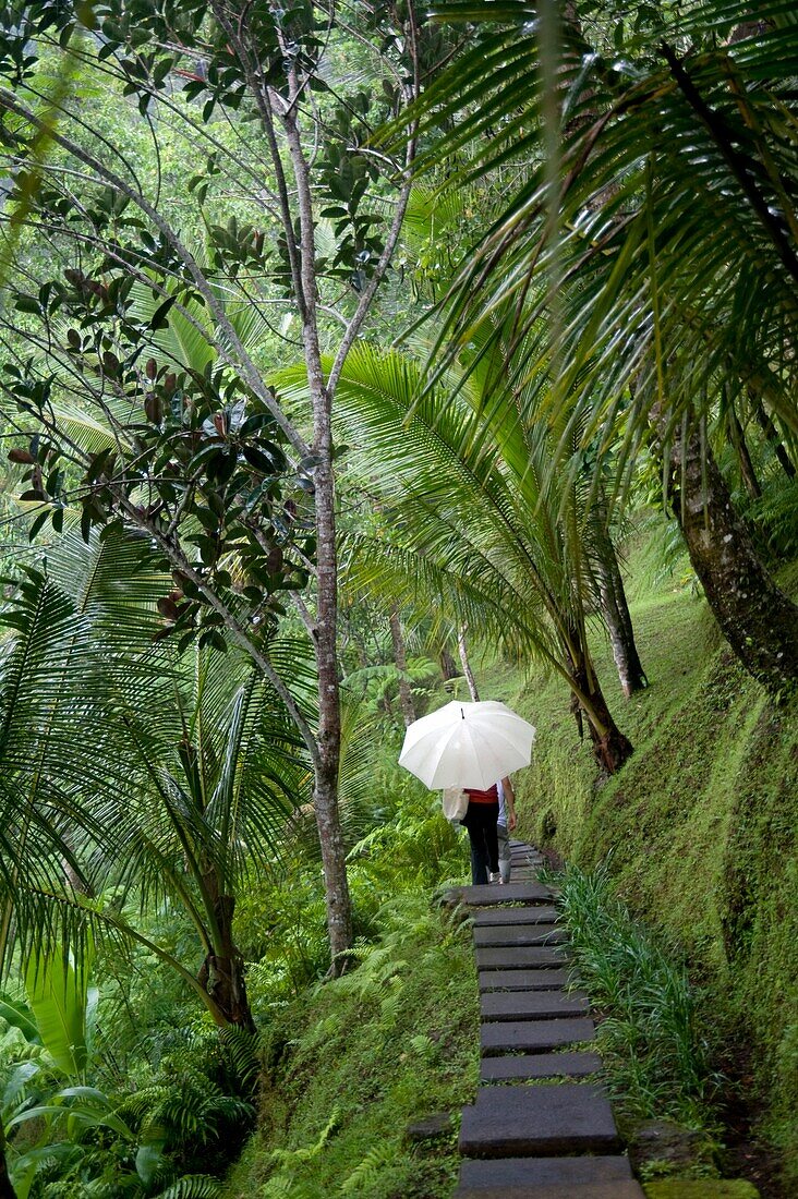 Passer-By With White Umbrella On Rural Pathway