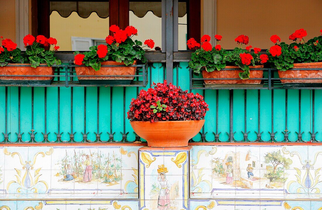 Flowering Baskets On Window Ledge; Capri, Italy