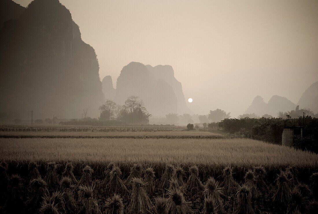 Field In Mountain Area, Toned Image