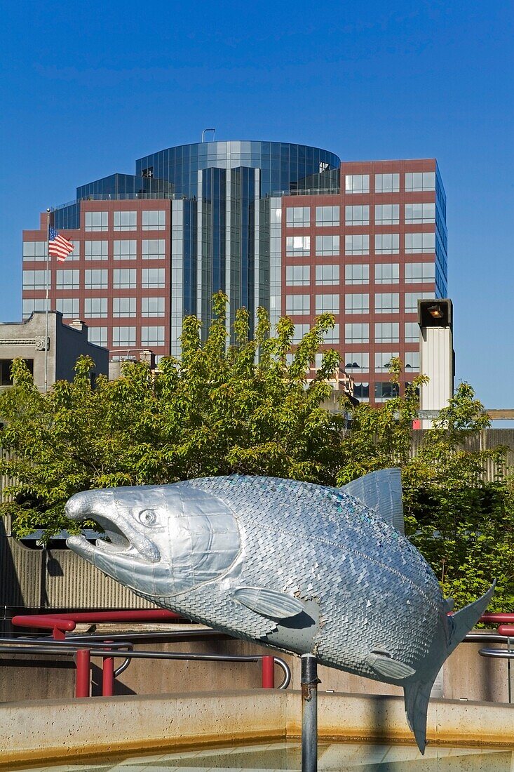 Canned Salmon By Chriis Wooten And Vladimir Shakov; Theatre Square, Tacoma, Washington State, Usa