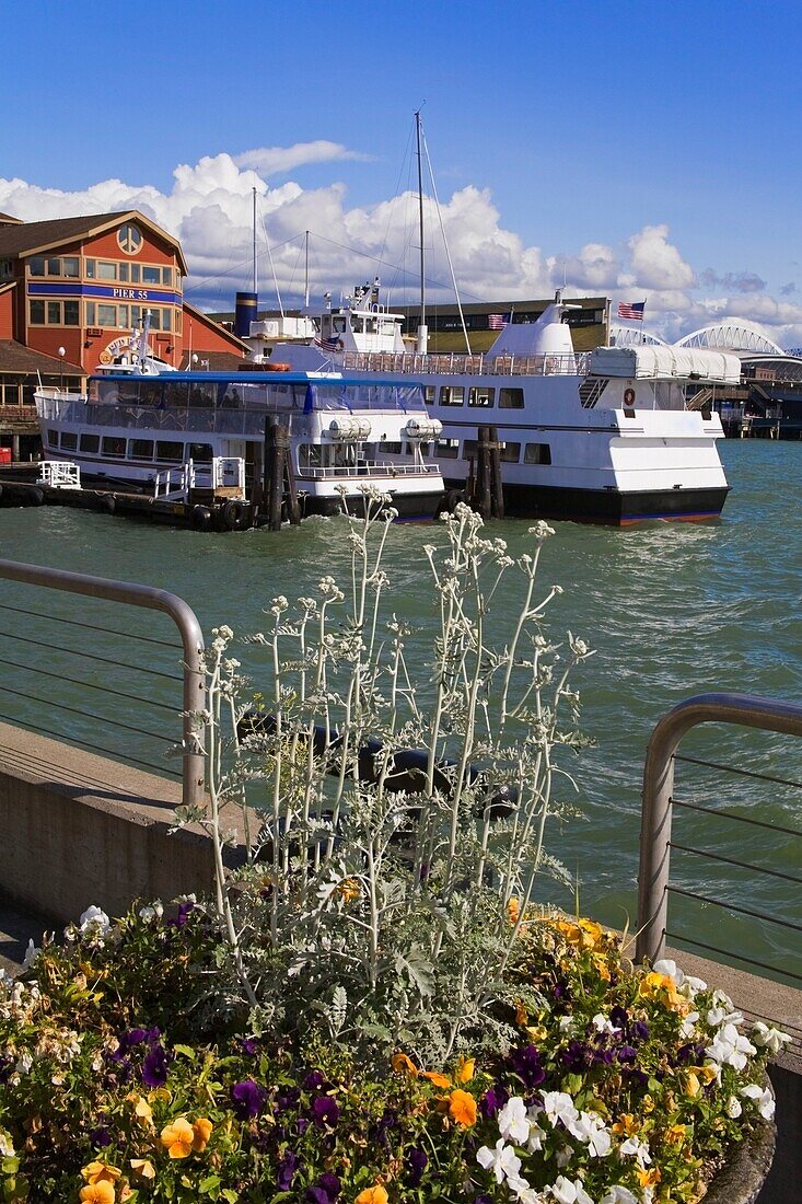 Tour Boats At Pier 55; Seattle, Washington State, Usa