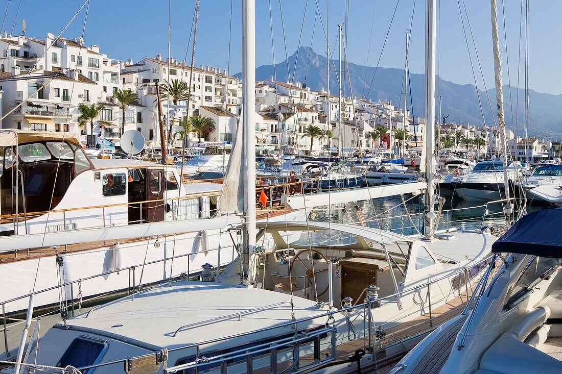 Shot Of A Busy Marina