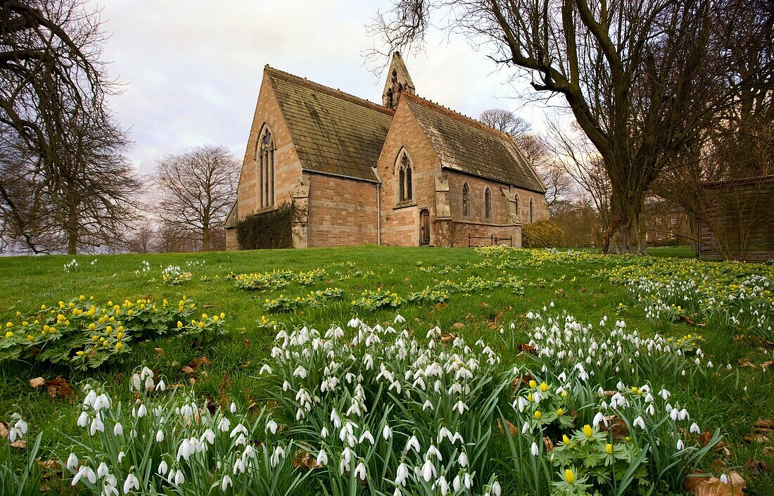 Weiße Blumen mit einer kleinen Kirche im Hintergrund; Northumberland, England