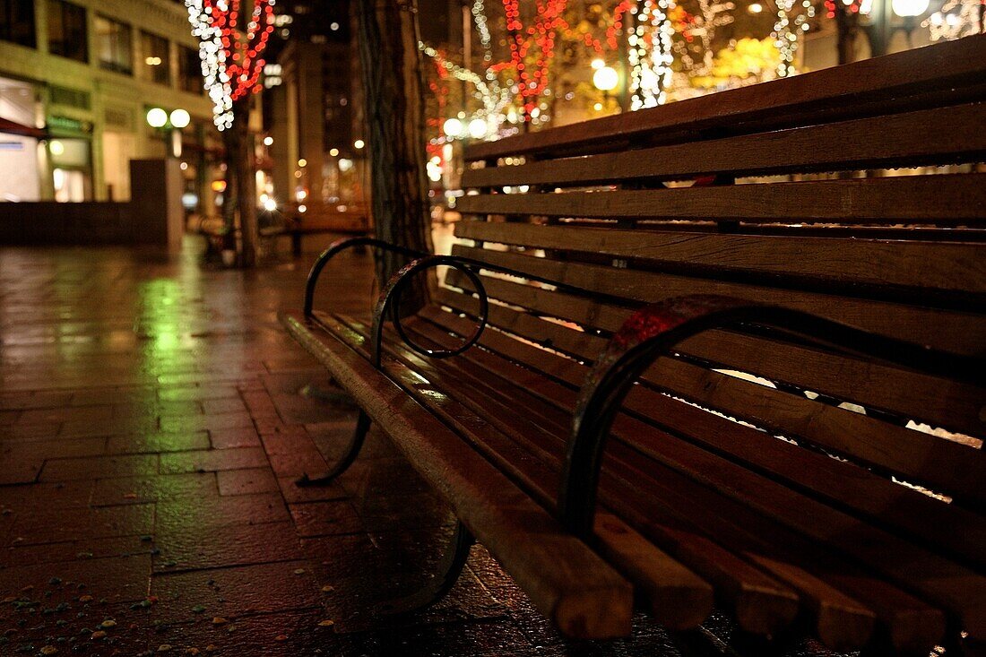 Seattle, Washington, Usa; City Park Bench At Night