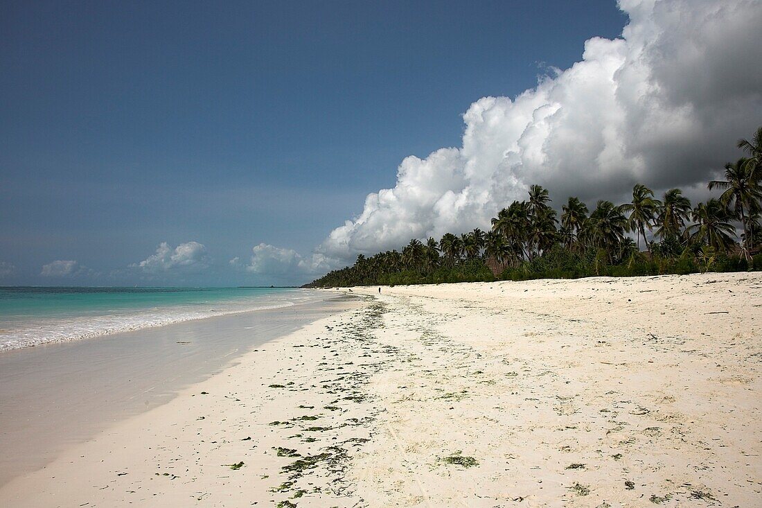 Indischer Ozean, Sansibar, Tansania; Tropischer Strand