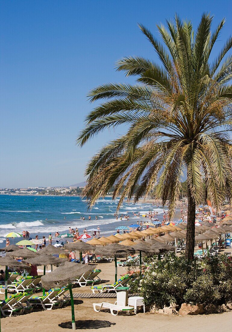 Scenic Shot Of Busy Beach