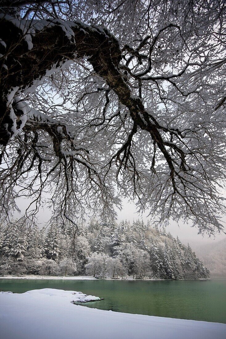 Verschneite Uferlinie eines Sees; Bellingham, Washington, USA