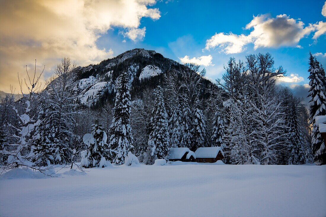 Snowy Shot Of Cabins