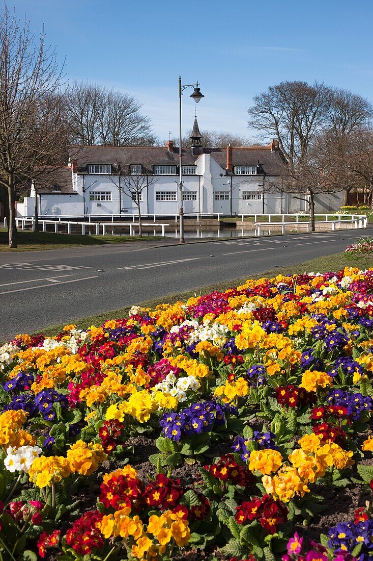 Roadside Flowerbed, Tyne And Wear, England