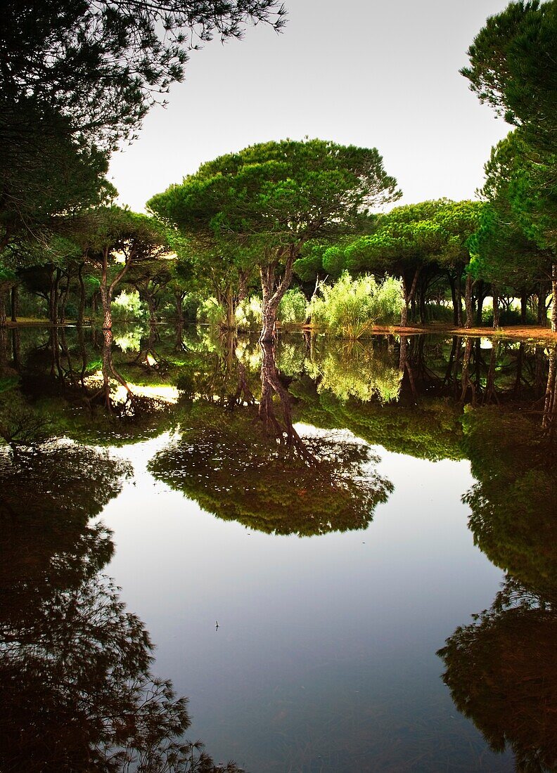 Ruhige Teichreflexionen; Tarifa, Cadiz, Spanien