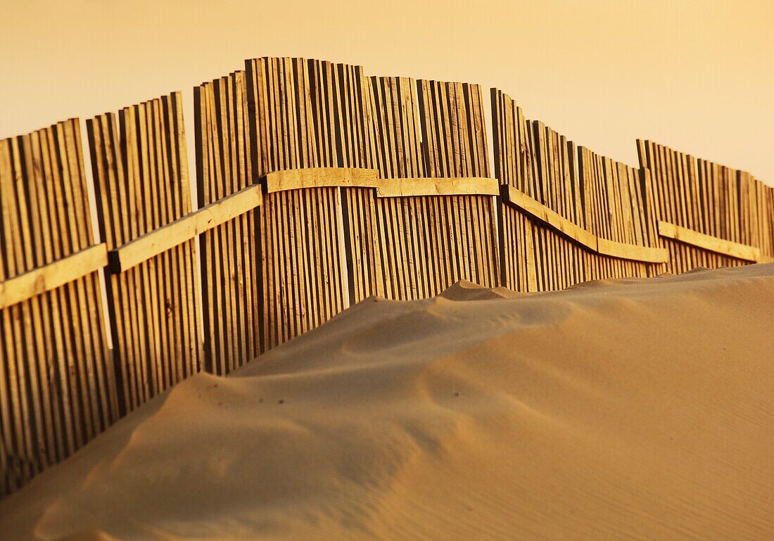 Fence On Beach