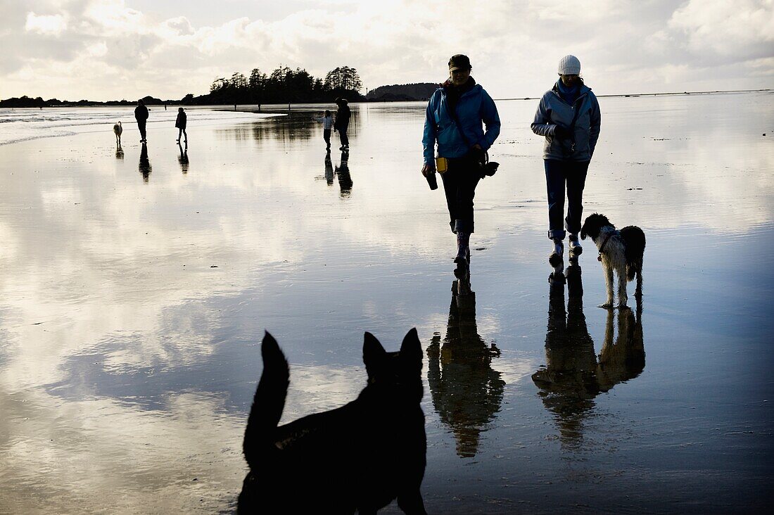 Spaziergang am Strand mit Hunden, Tofino, Vancouver Island, British Columbia, Kanada