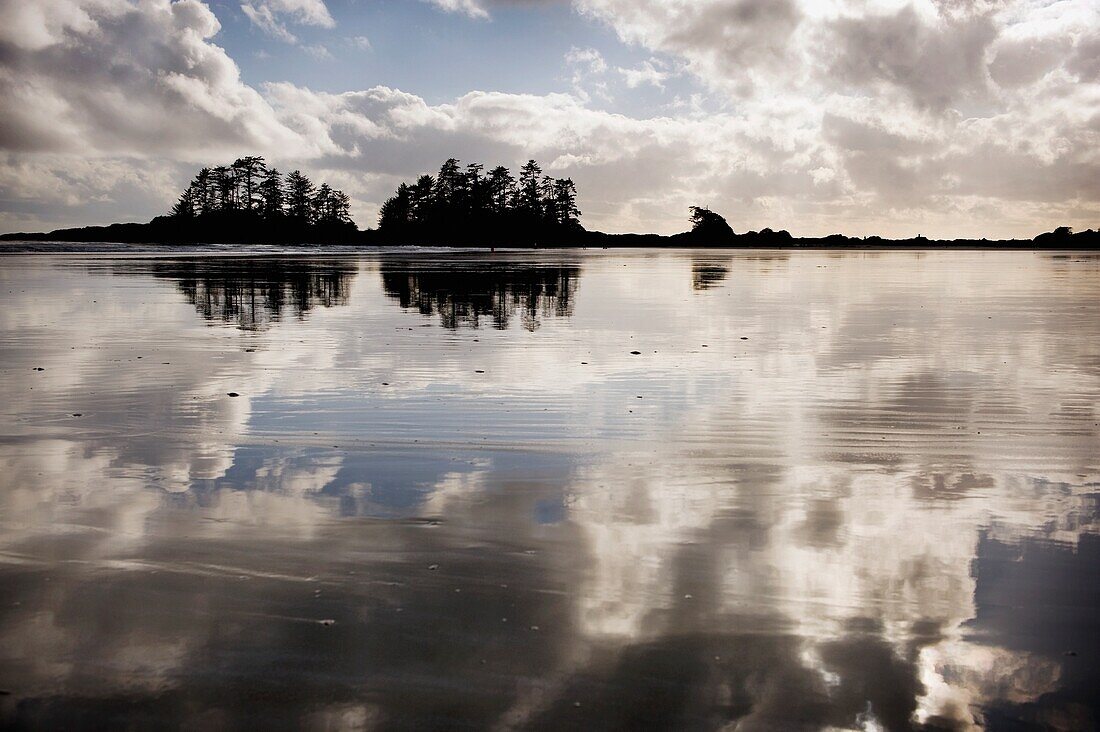 Tofino, Vancouver Island, British Columbia, Canada