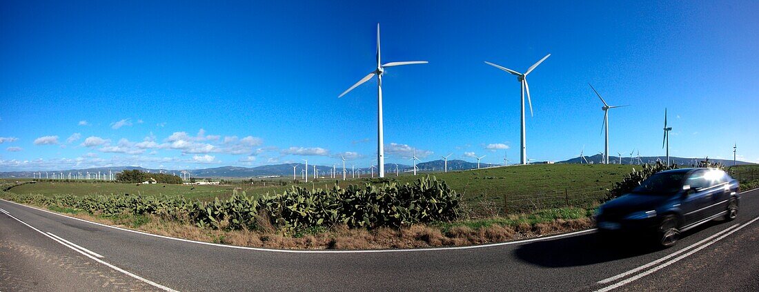 Windturbinen am Straßenrand, Zahara De Los Atunes, Cadiz, Spanien