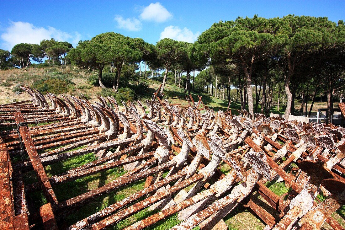 Rusty Old Anchors, Conil De La Frontera, Cadiz, Spain