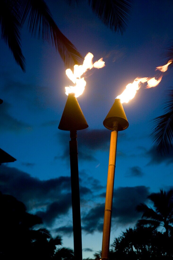 Flaming Torches, Maui, Hawaii, Usa