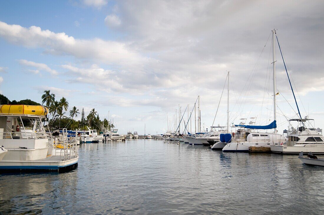 Boats In Marina, Maui, Hawaii, Usa