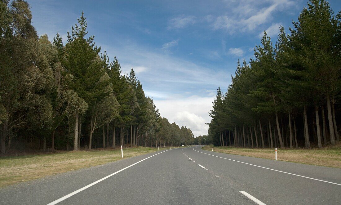 Highway, Taupo, New Zealand