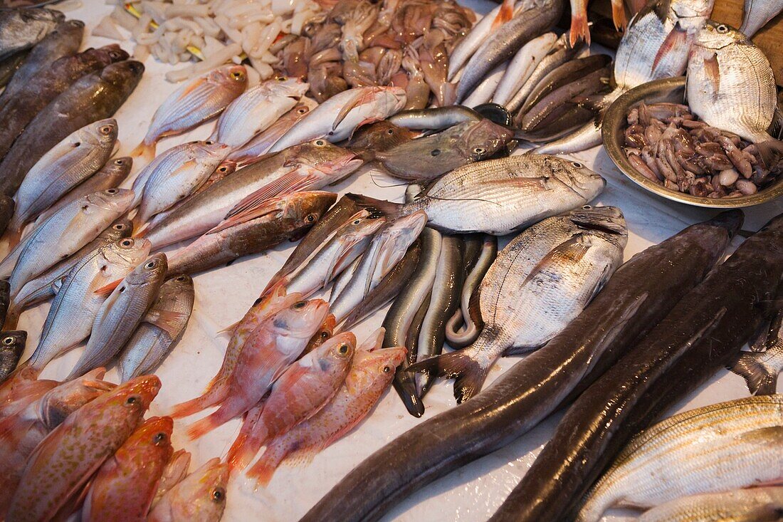 Fisch auf dem Markt, Essaouira, Marokko