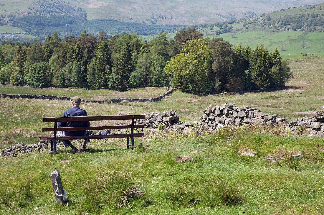 Man On Bench In Countryside, Dumfries And Galloway, Scotland