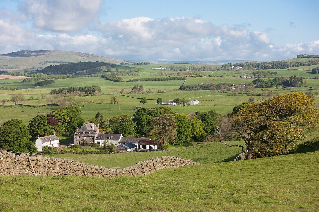 Rural Scene, Lochfoot, Dumfries And Galloway, Scotland