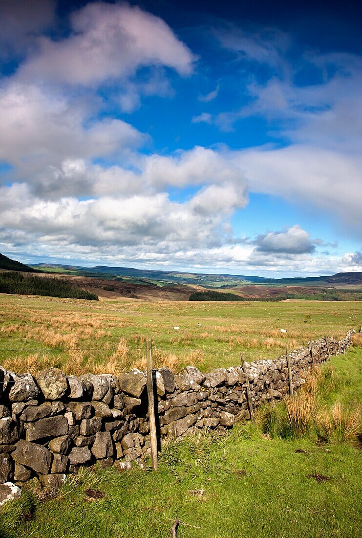 Rustic Stone Fence, Northumberland, England