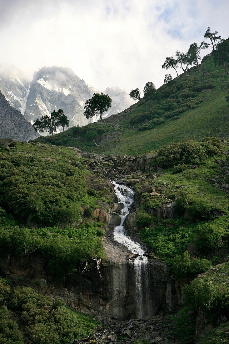 Mountain Stream