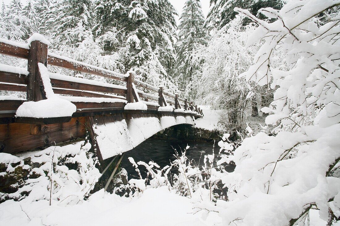 Verschneite Fußgängerbrücke durch den Wald