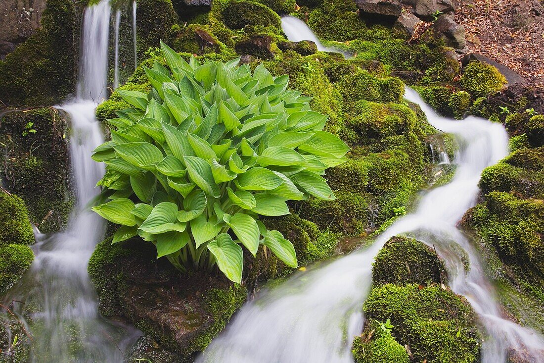 Gelassener Wasserfall