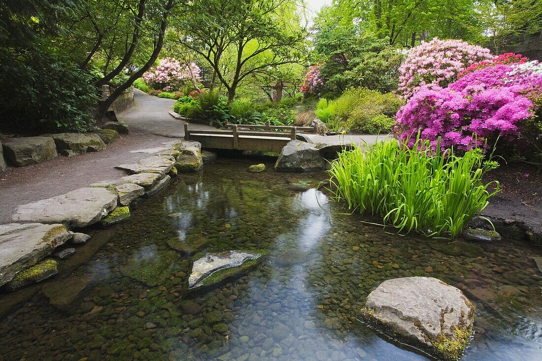 Serene Pond In Park