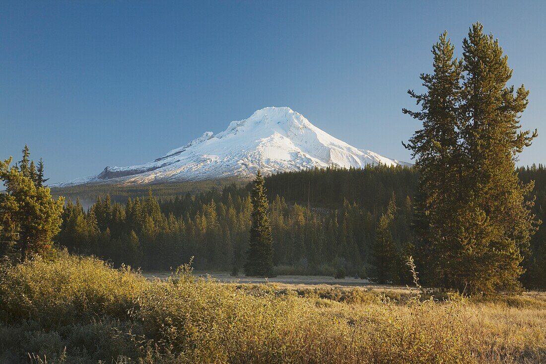 Snow-Capped Mountain Scenic