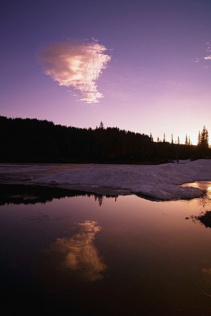 Tranquil Water Scenic