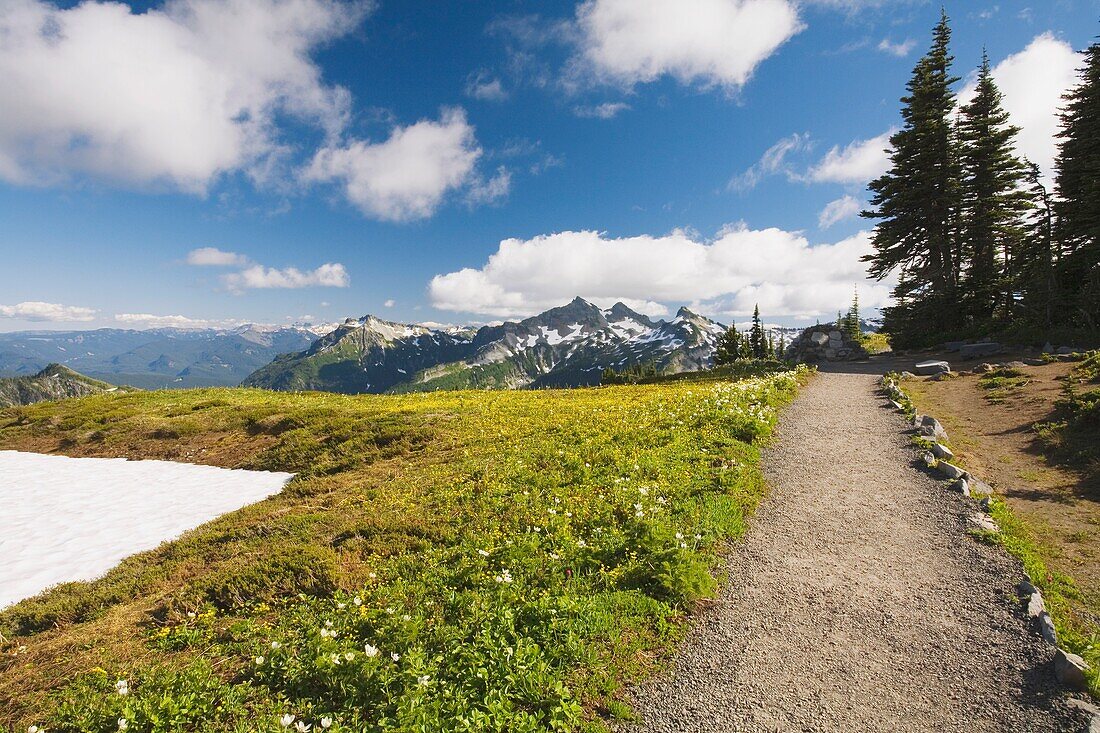 Small Path With Mountains In Background