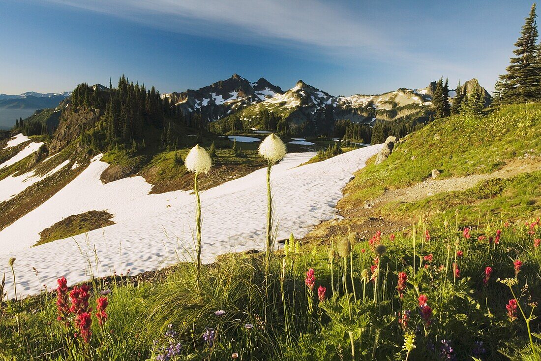 Melting Snow With Mountain Backdrop; Washington,Usa