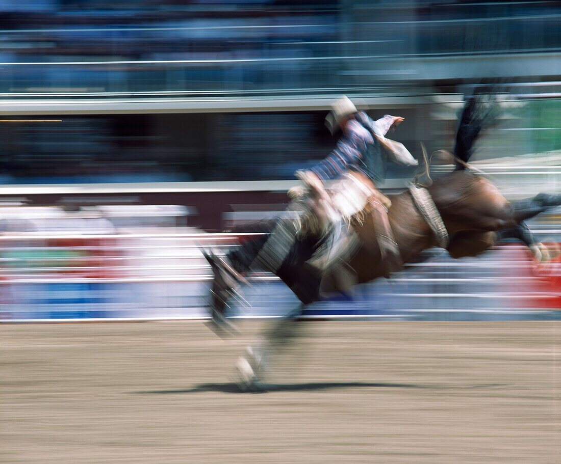 Saddleback Rider, Calgary Stampede, Calgary, Alberta, Canada