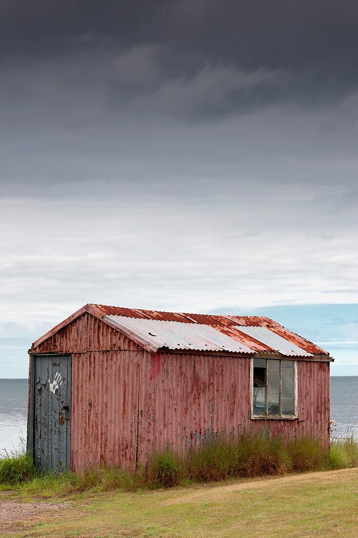 Dilapidated, Weather-Beaten Shed