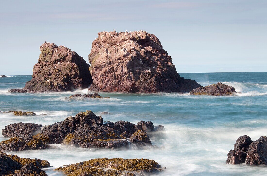 St. Abb's Head, St. Abbs, Berwickshire, Scottish Borders, Scotland