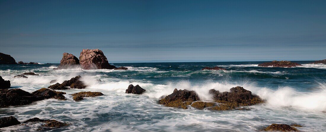 St. Abb's Head; Berwickshire, Scottish Borders, Scotland