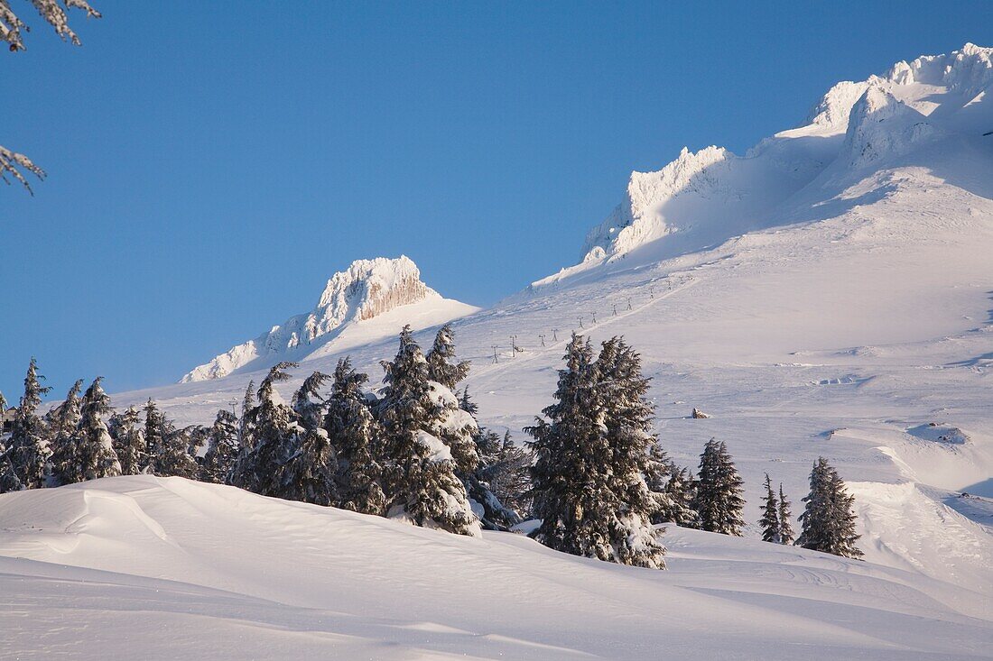 Snowy Landscape