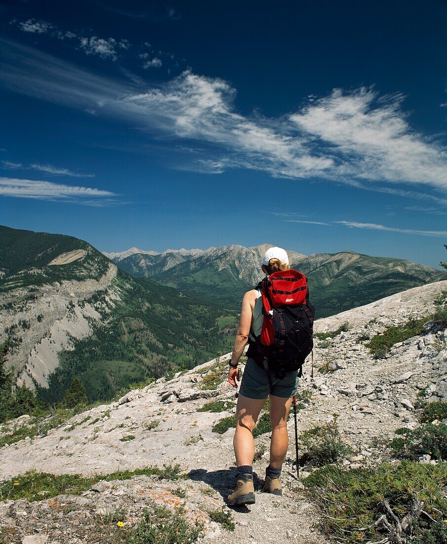 Hiking In The Rocky Mountains, Crowsnest Pass, Alberta, Canada