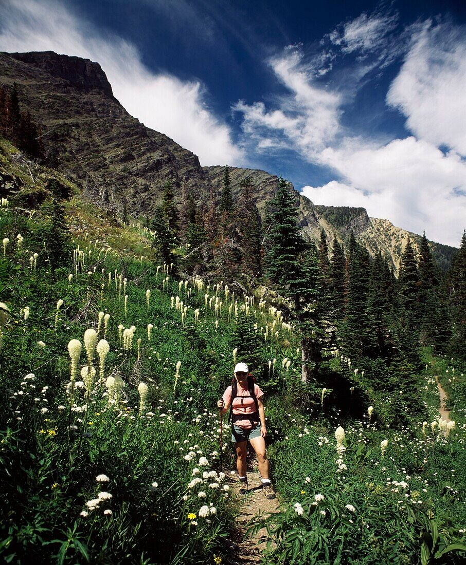 Hiking In The Rockies In Summer, Waterton Lakes National Park, Alberta, Canada