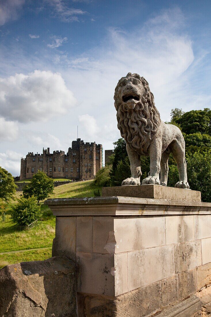 Löwenstatue, Burg Alnwick; Northumberland, England