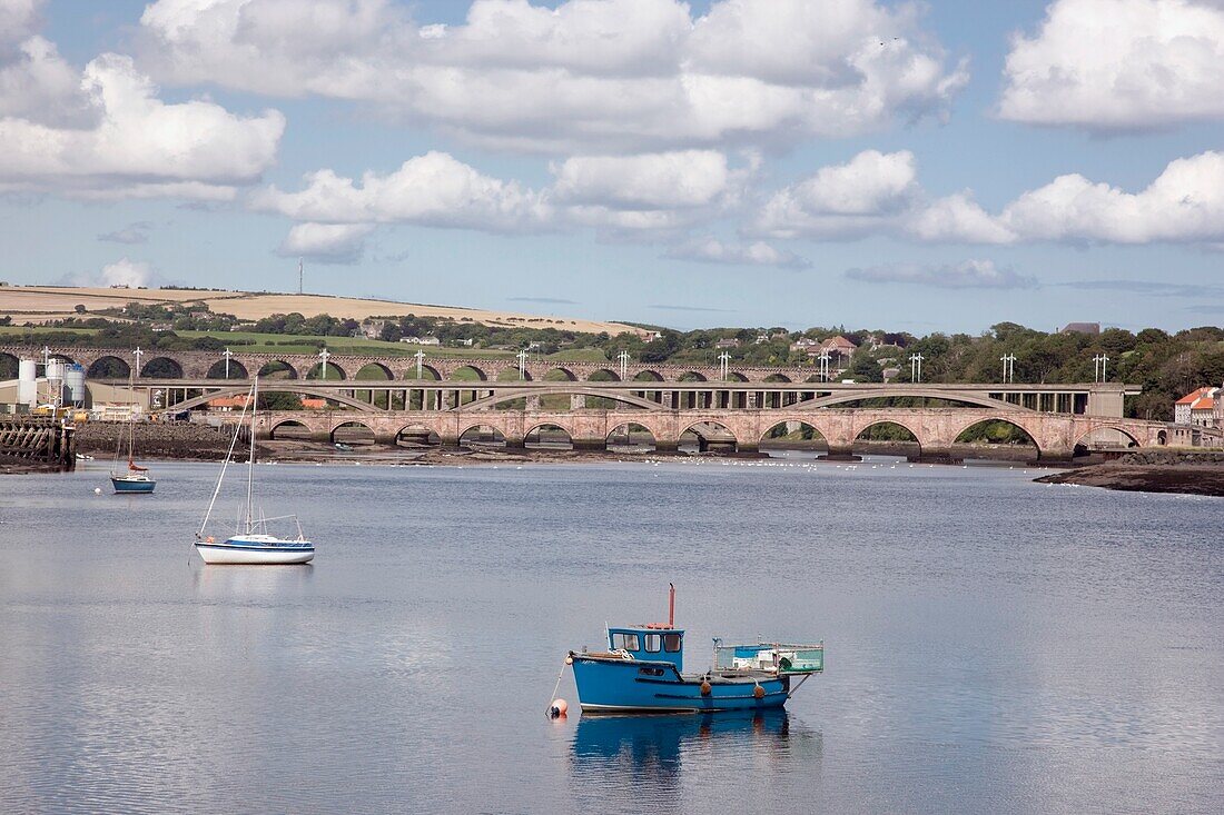 Boats Anchored In The Water; Berwick, Northumberland, England