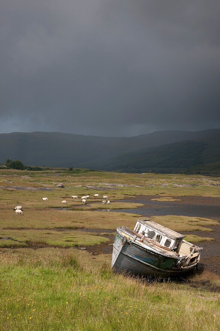 Boat In Field, Island Of Mull; Island Of Mull, Scotland