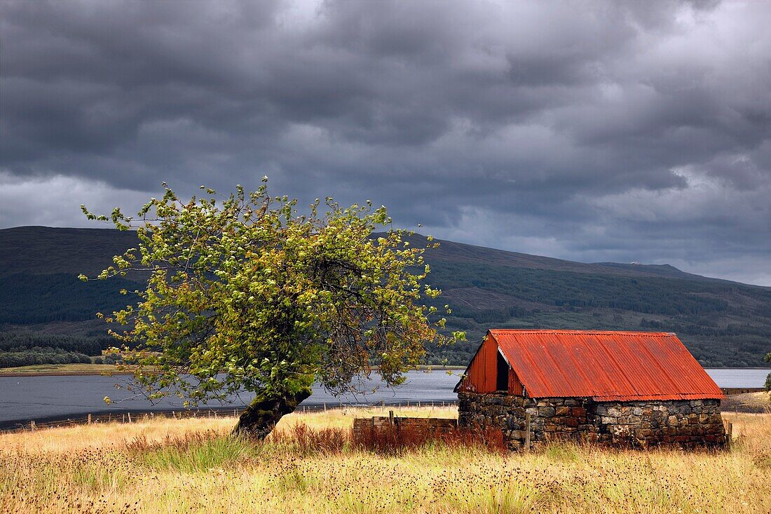 Hütte in einem Feld; Strontian, Highland, Schottland