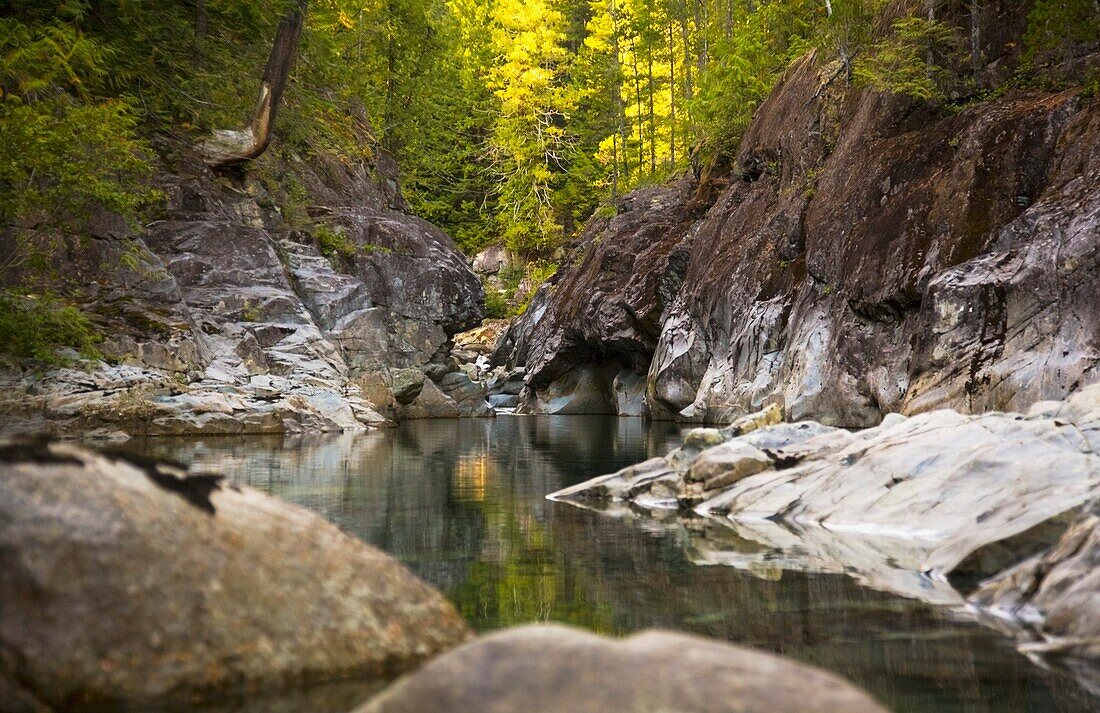 Stilles Wasser, Elk Falls, Britisch-Kolumbien, Kanada