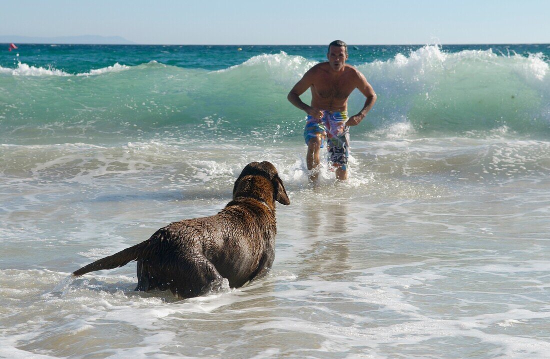 Mann spielt mit seinem Hund im Meer; Costa De La Luz, Andalusien, Spanien