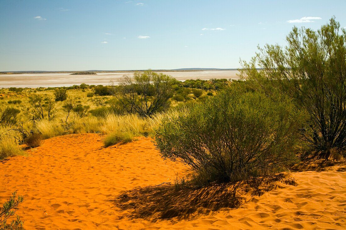 Lake Amadeus From Sand Dune, Northern Territories, Australia